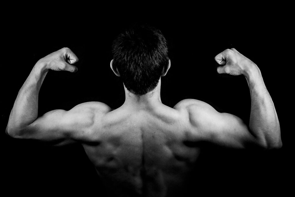 Mann Muskeln Fitness Muskelmasse aufbauen – So funktioniert effektiver Muskelaufbau wirklich