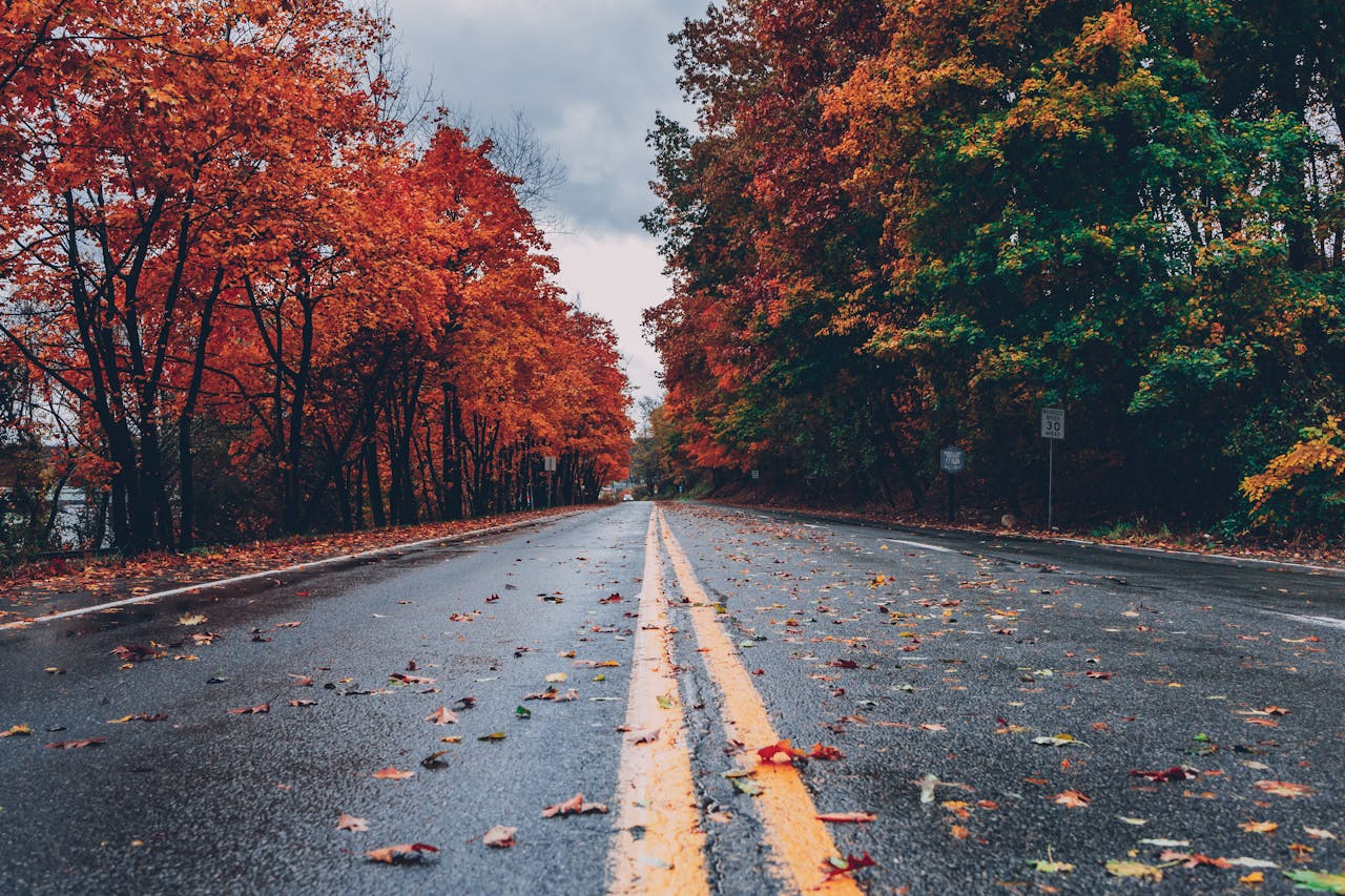 Herbst regnerisch Straße Herbstdepression – Ein Überblick