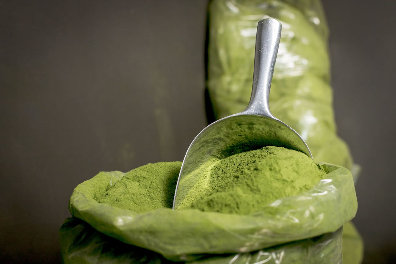 Moringa Pulver grün Moringa – Was ist das